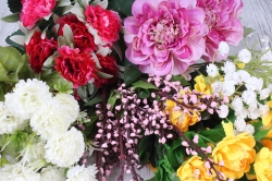 Искусственные растения и цветы в магазине «Золотой сад»